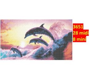 Delfin 3651 | Dyr