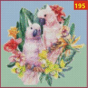 Papegøjer 195 | Dyr