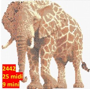 Elefant 2442 | Dyr