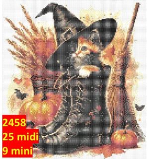 Kat 2458