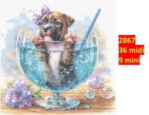 Hund 2867 | Dyr