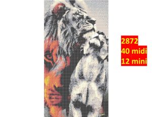Løve 2872 | Dyr