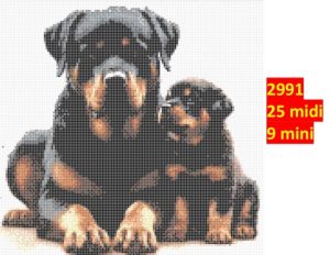 Hund 2991 | Dyr