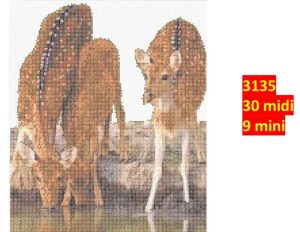 Rådyr 3135 | Dyr