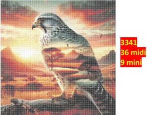Ørn 3341 | Dyr