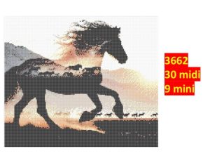 Hest 3662 | Dyr