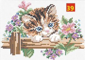 Kat 39