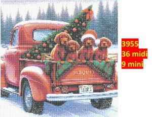 Hund 3955 | Dyr