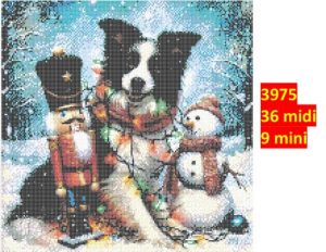 Hund 3975 | Dyr