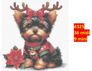 Hund 4325 | Dyr