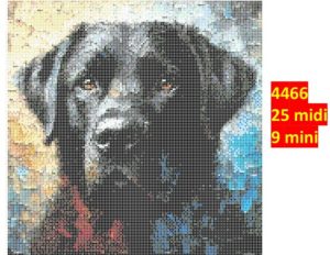 Hund 4466 | Dyr