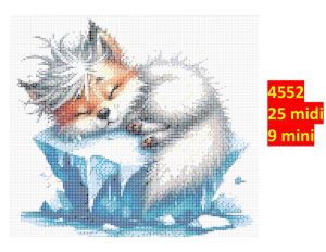 Ræv 4552 | Dyr