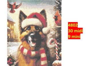 Hund 4802 | Dyr