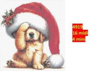 Hund 4919 | Dyr
