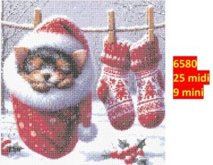 Hund 6580 | Dyr