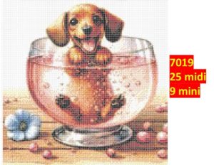 Hund 7019 | Dyr