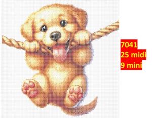 Hund 7041 | Dyr