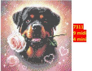 Hund 7311 | Dyr