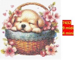 Hund 7432 | Dyr
