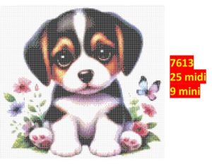 Hund 7613 | Dyr