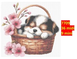 Hund 7709 | Dyr
