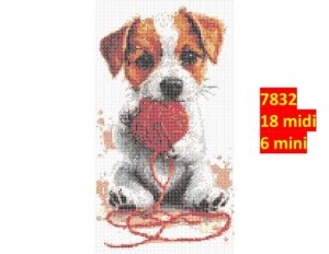 Hund 7832 | Dyr