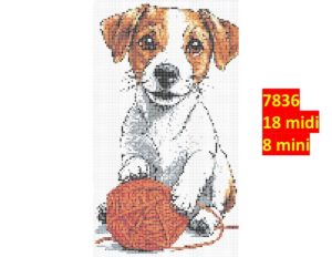 Hund 7836 | Dyr