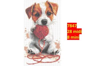 Hund 7847 | Dyr