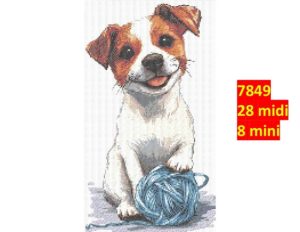 Hund 7849 | Dyr