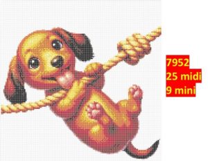 Hund 7952 | Dyr