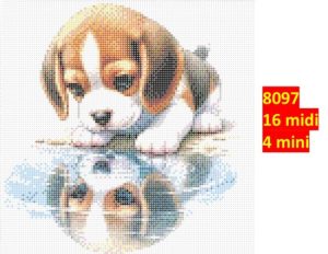Hund 8097 | Dyr