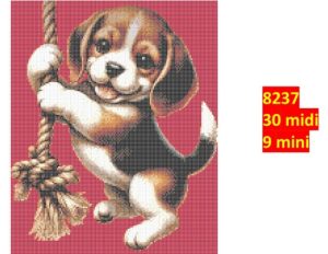 Hund 8237 | Dyr