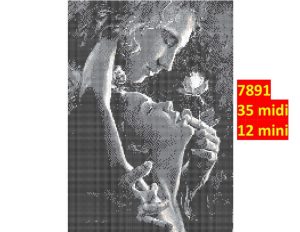 Kærlighed imellem to 7891