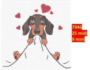 Hund 7946