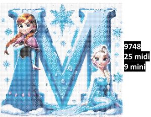 Frost 9748
