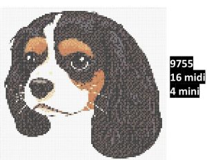 Hund 9755