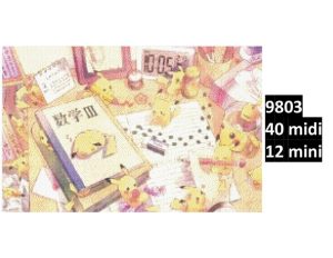 Pokemon 9803