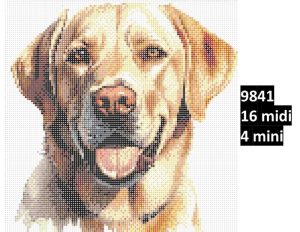 Hund 9841