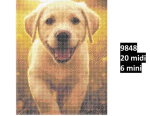 Hund 9848